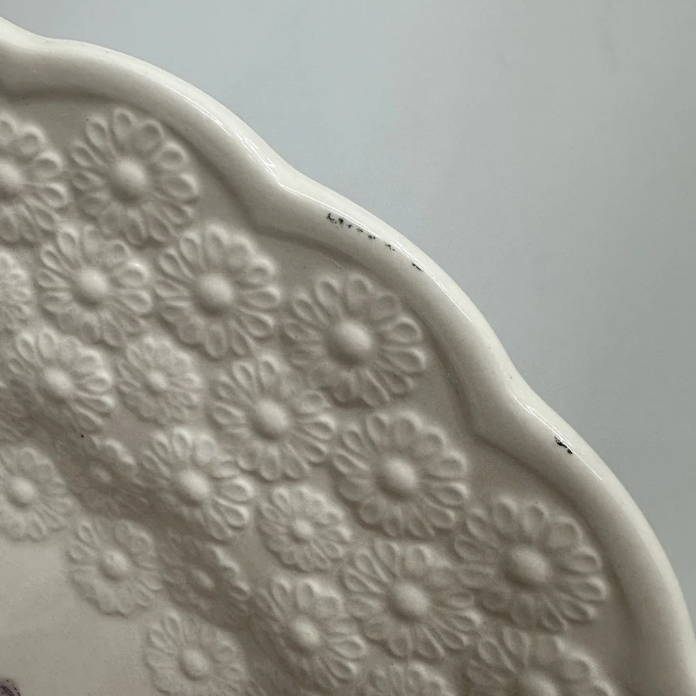 Set/2 Copeland Spode Alden J Price Embossed Daisy Border Fruit Flower #12 Plates